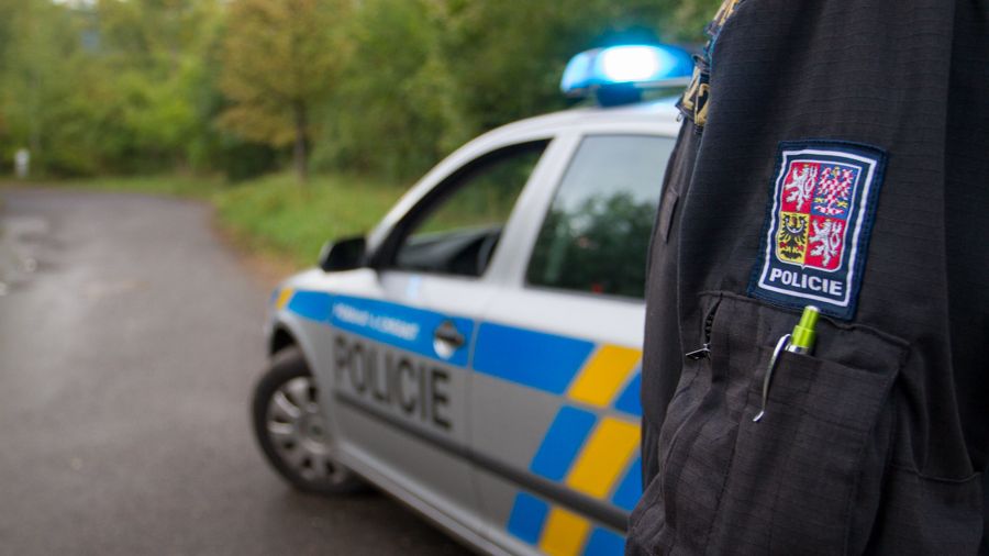 Sebevraha na Plzeňsku včas odřízli policisté
